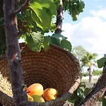 Masseria Cannella