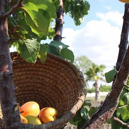 Masseria Cannella Alojamento de Turismo Rural *