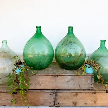 Masseria Cannella 农家乐 *