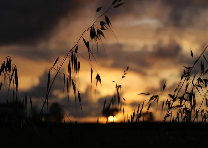 Alloggio per agriturismo Masseria Cannella Lesina