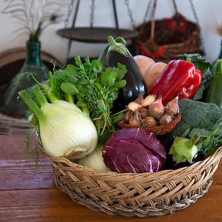 Farm stay Masseria Cannella Lesina